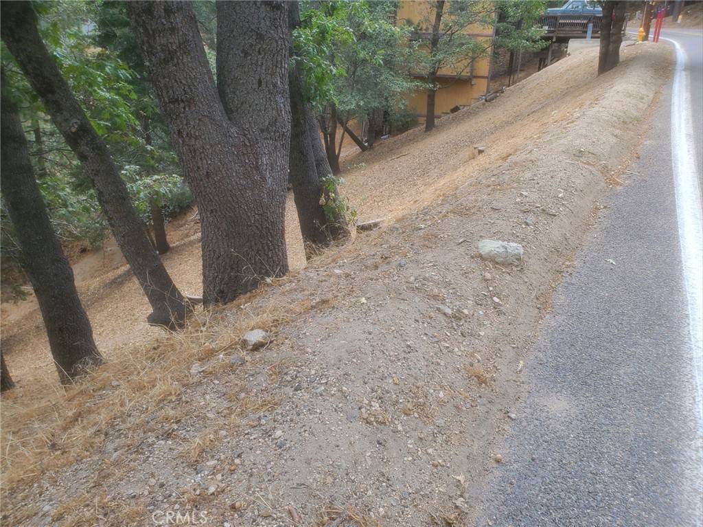 Crestline, CA 92325,709 Arosa DR