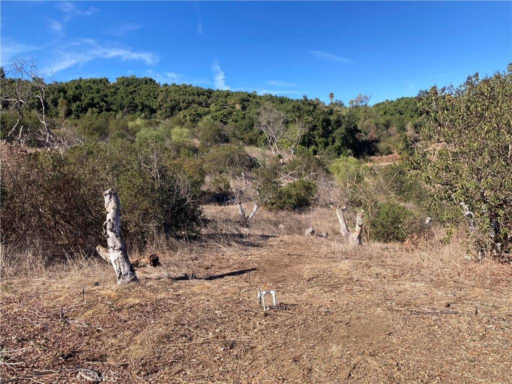Temecula, CA 92590,10 Carancho RD