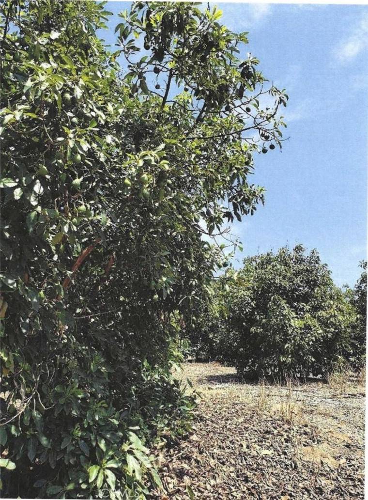 Bonsall, CA 92003,10438 Couser WAY