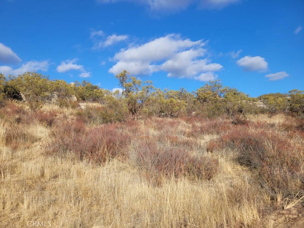 Aguanga, CA 92536,956 Crazy Horse Canyon DR