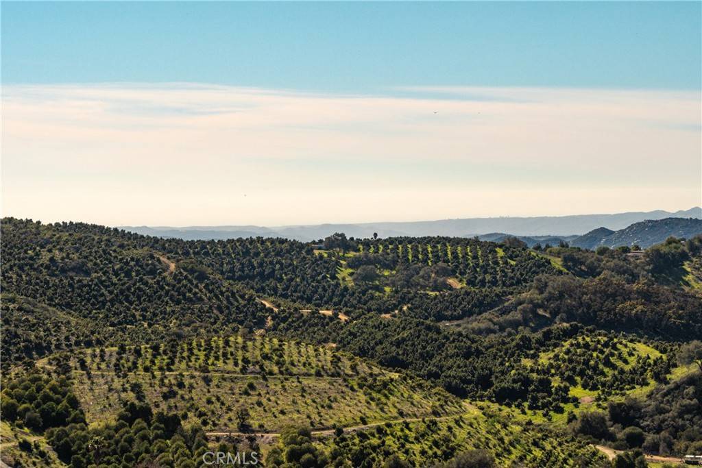 Temecula, CA 92590,4 Calle Uva