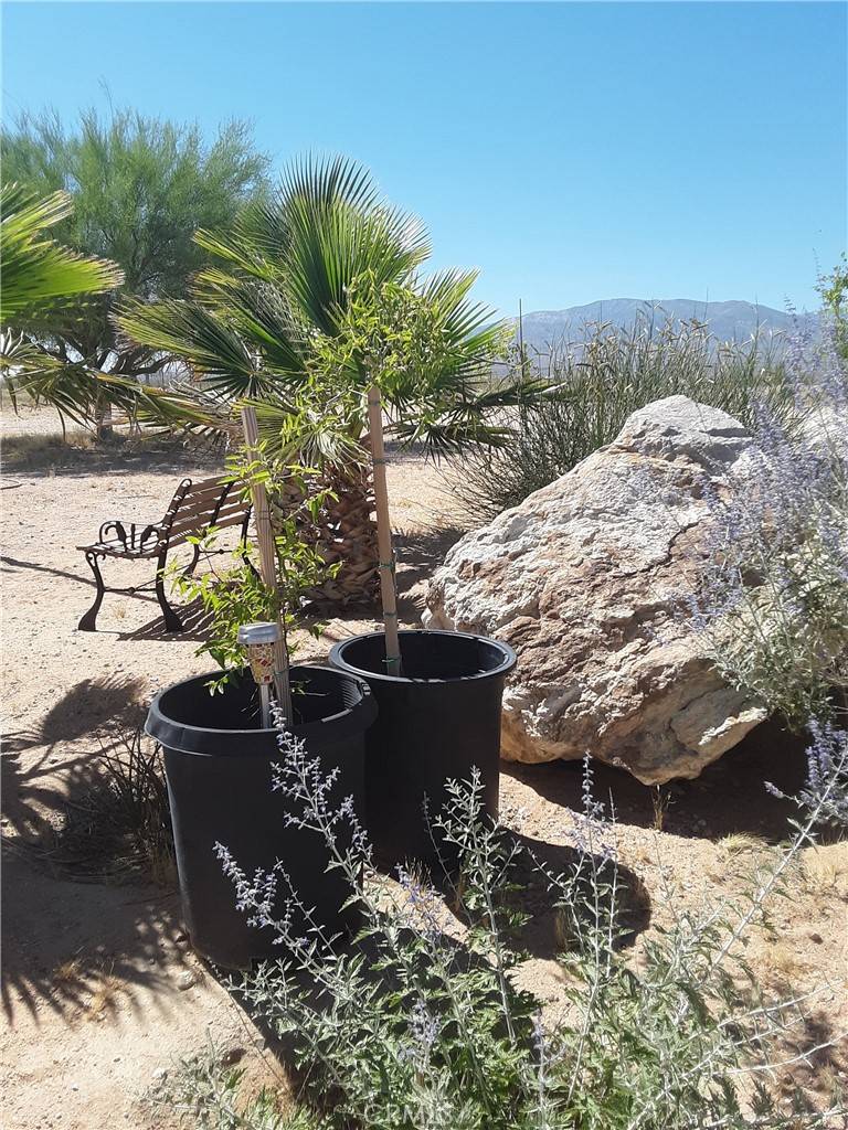9025 Camp Rock RD Lucerne Valley, CA 92356