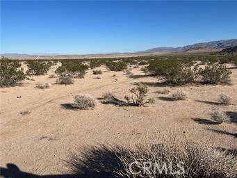 Joshua Tree, CA 92552,256 EL REY