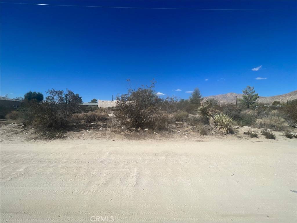 Morongo Valley, CA 92256,0 Bella Vista DR