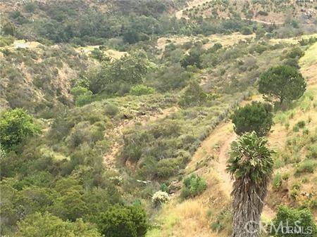 Fallbrook, CA 92028,9819 Gomez Creek RD