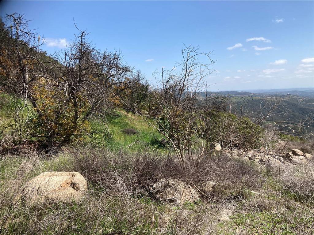 Temecula, CA 92590,3 Daneri LN
