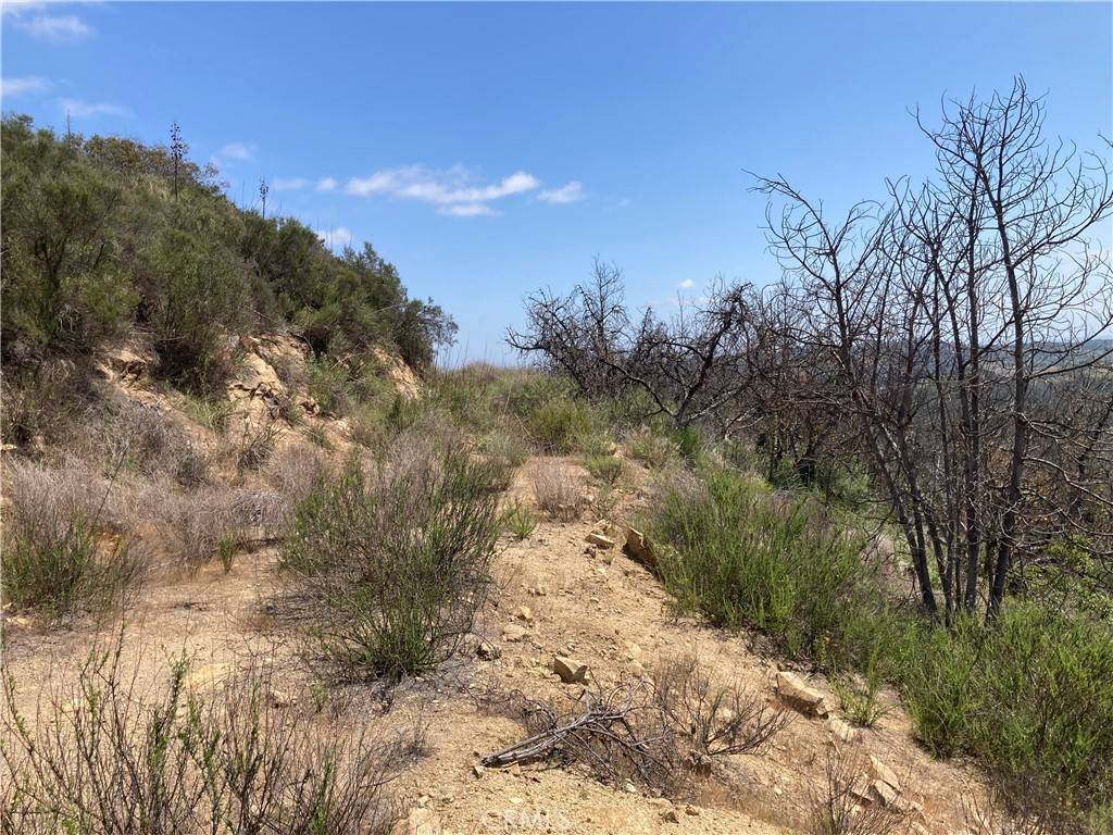 Temecula, CA 92590,3 Daneri LN
