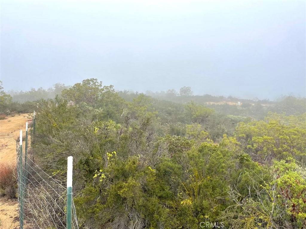 Anza, CA 92539,0 Quartz