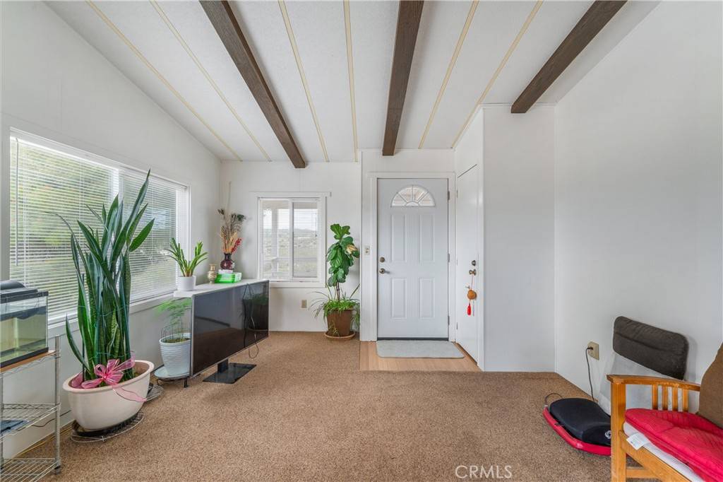 Anza, CA 92539,39292 Spanish Bayonet