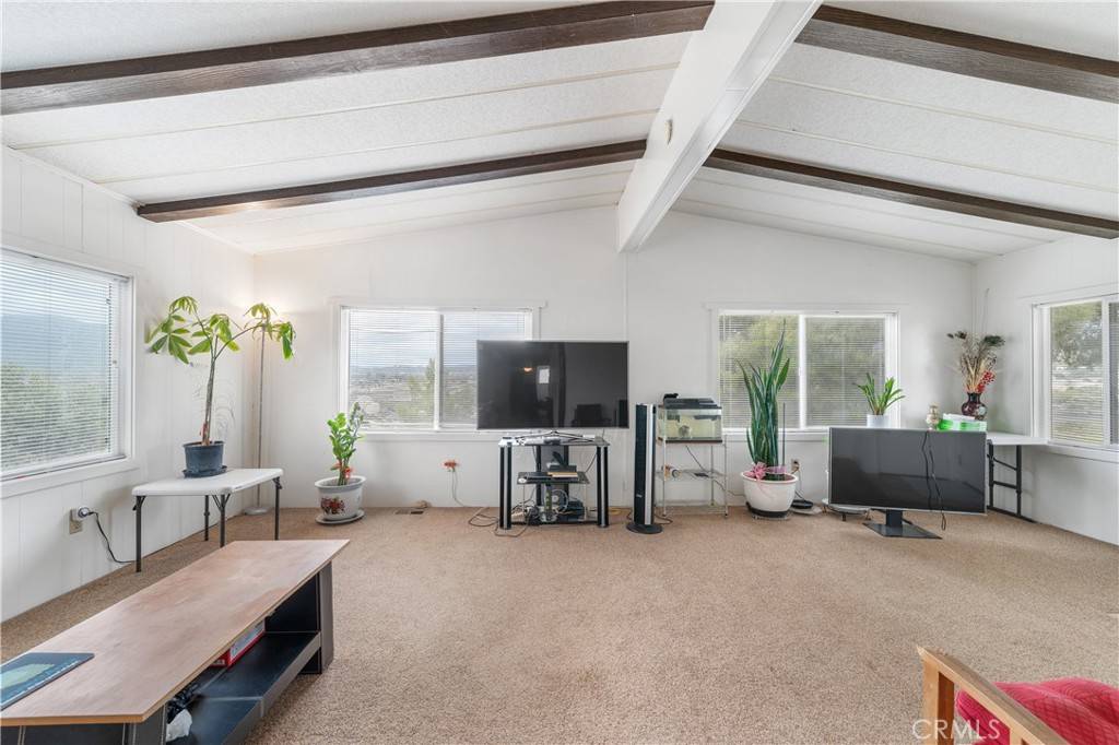 Anza, CA 92539,39292 Spanish Bayonet
