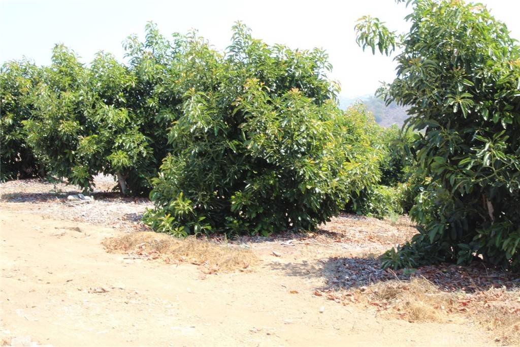 Temecula, CA 92590,4 Via Vaquero RD