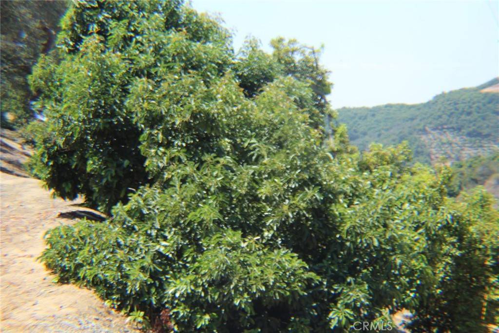 Temecula, CA 92590,4 Via Vaquero RD