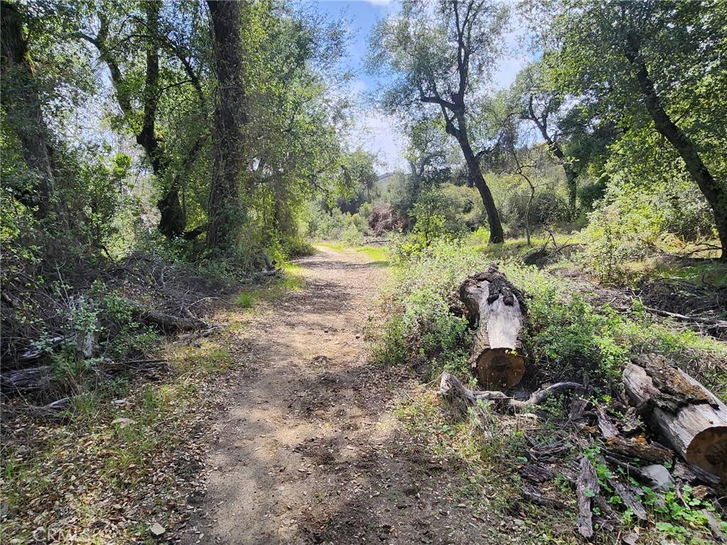Murrieta, CA 92562,0 Via Sereno
