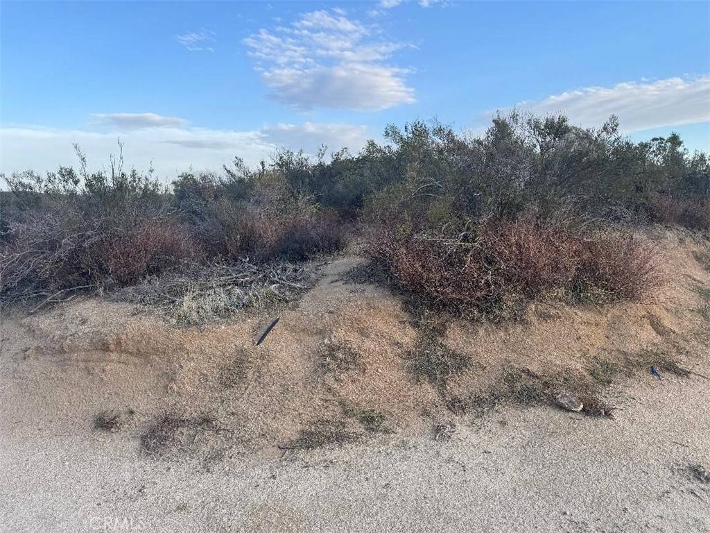Anza, CA 92539,0 Springbrook Trail