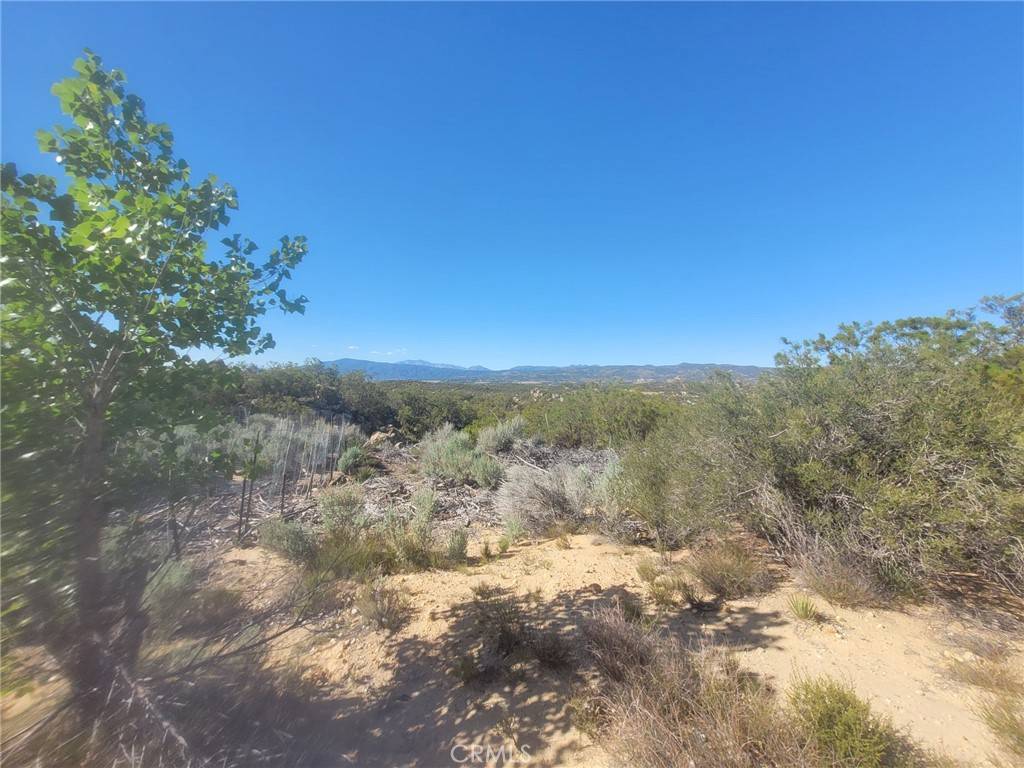 Anza, CA 92539,0 Thunder Rd
