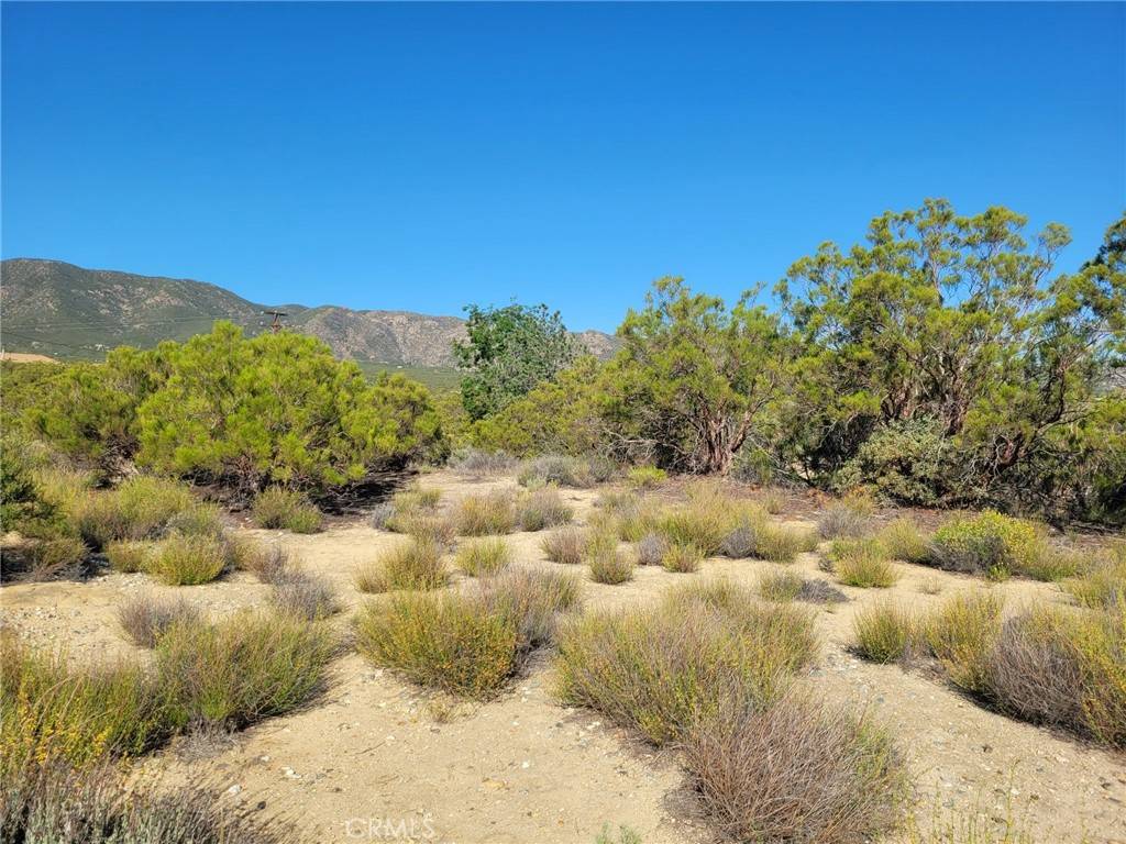 Anza, CA 92539,0 Thunder Rd