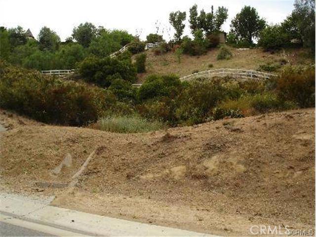 Bell Canyon, CA 91307,96 Saddlebow RD