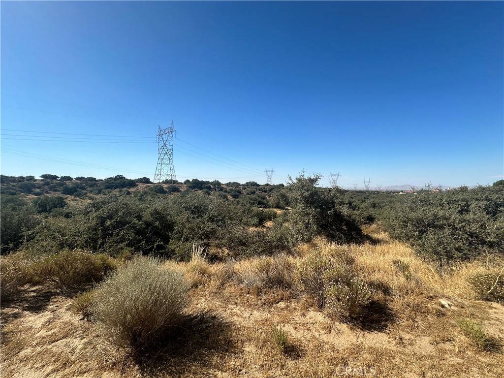 Phelan, CA 92371,0 Mesquite RD