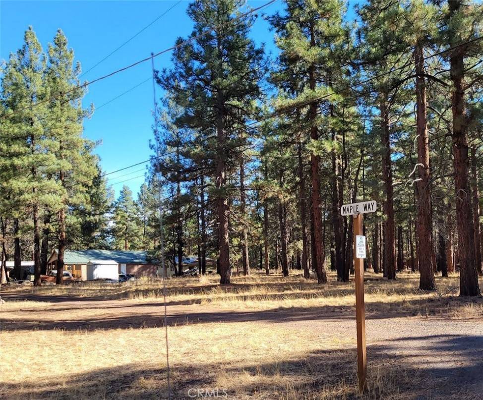 Susanville, CA 96130,0 Maple WAY