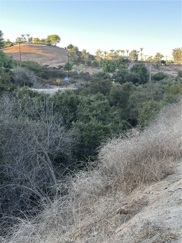 Valley Center, CA 92082,29197 Lilac RD