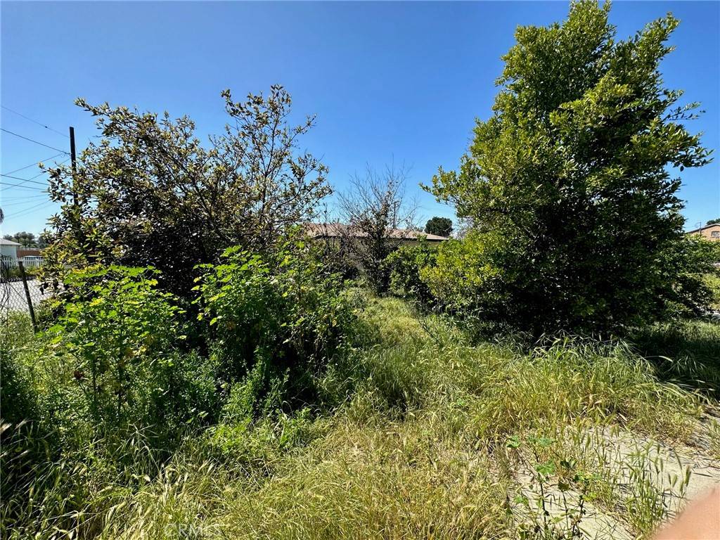 Loma Linda, CA 92354,10679 Seamont DR