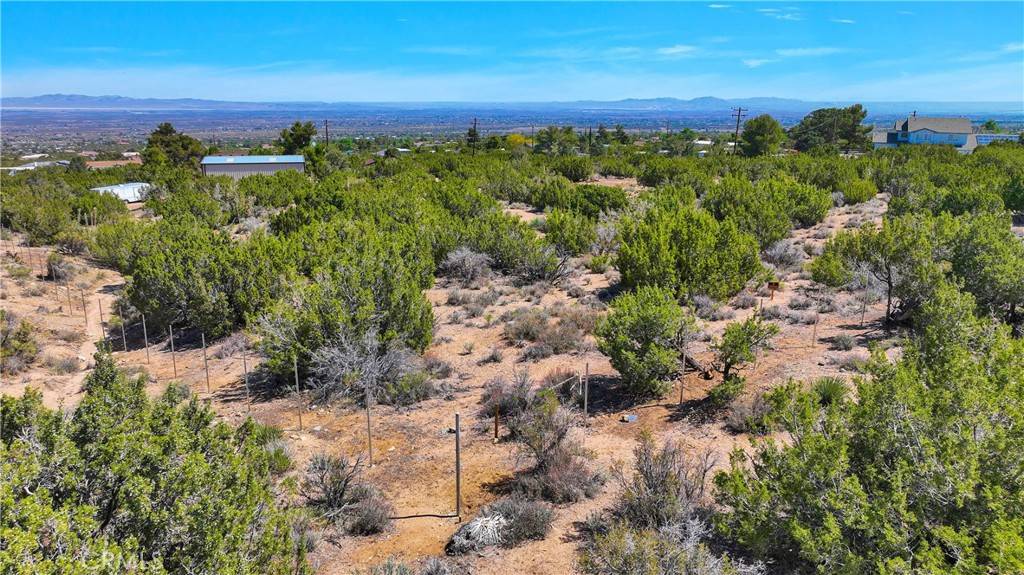 Pinon Hills, CA 92372,9180 Arena RD