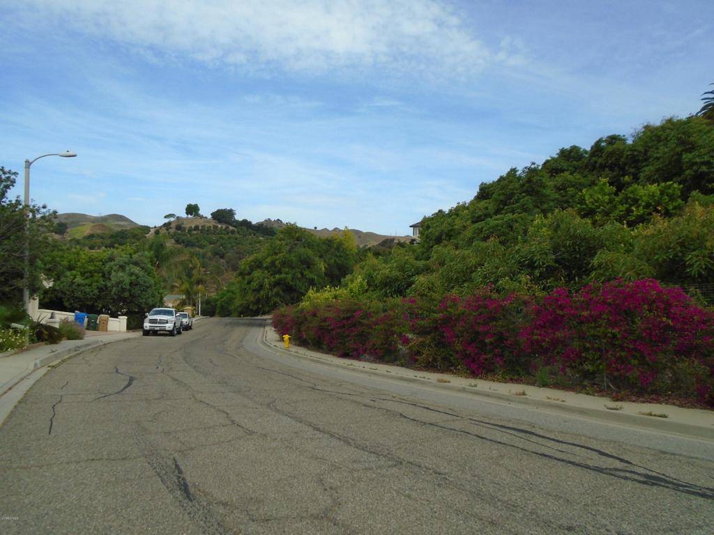 Santa Paula, CA 93060,233 View DR