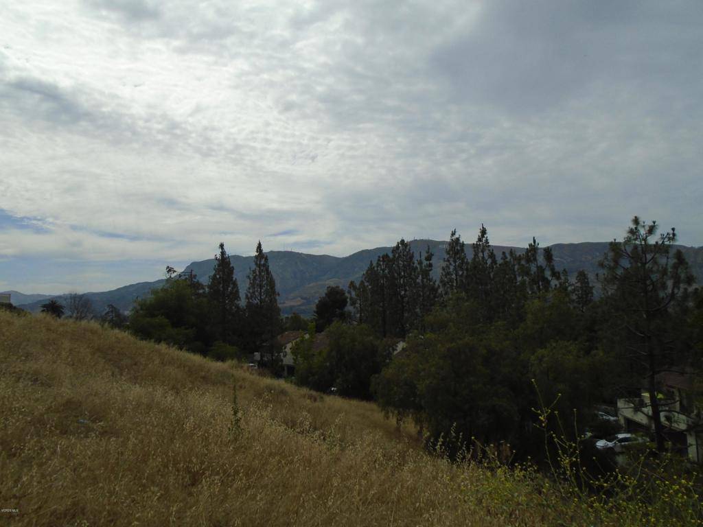 Santa Paula, CA 93060,1 E View DR