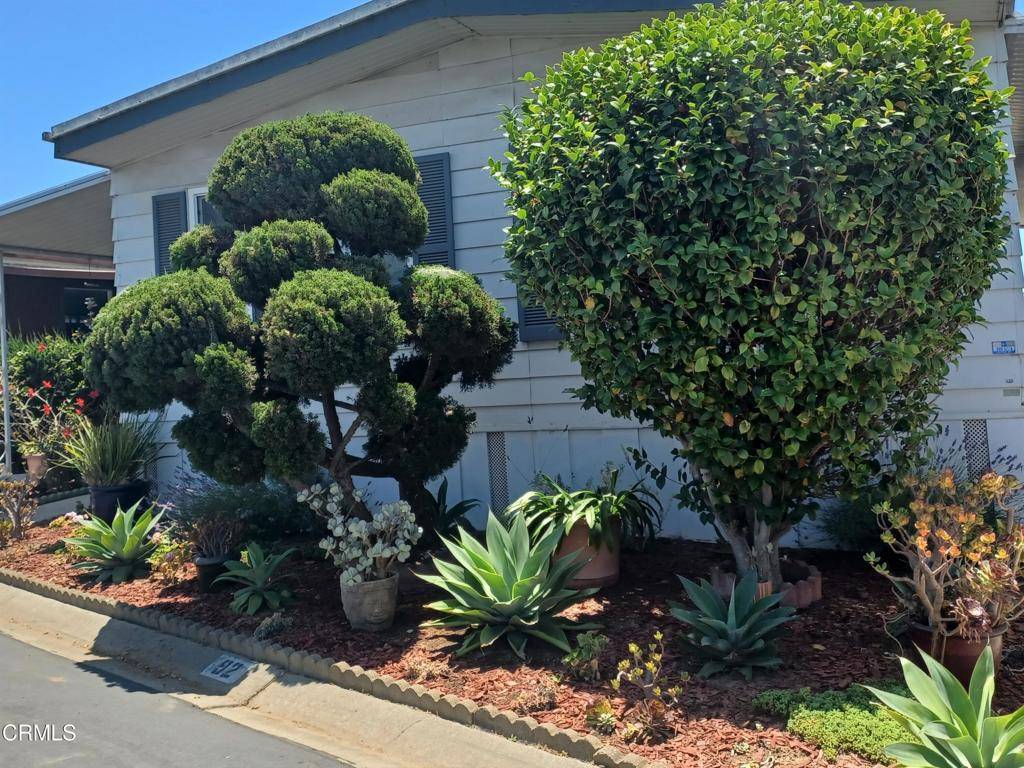 Carpinteria, CA 93013,6180 Via Real AVE #92