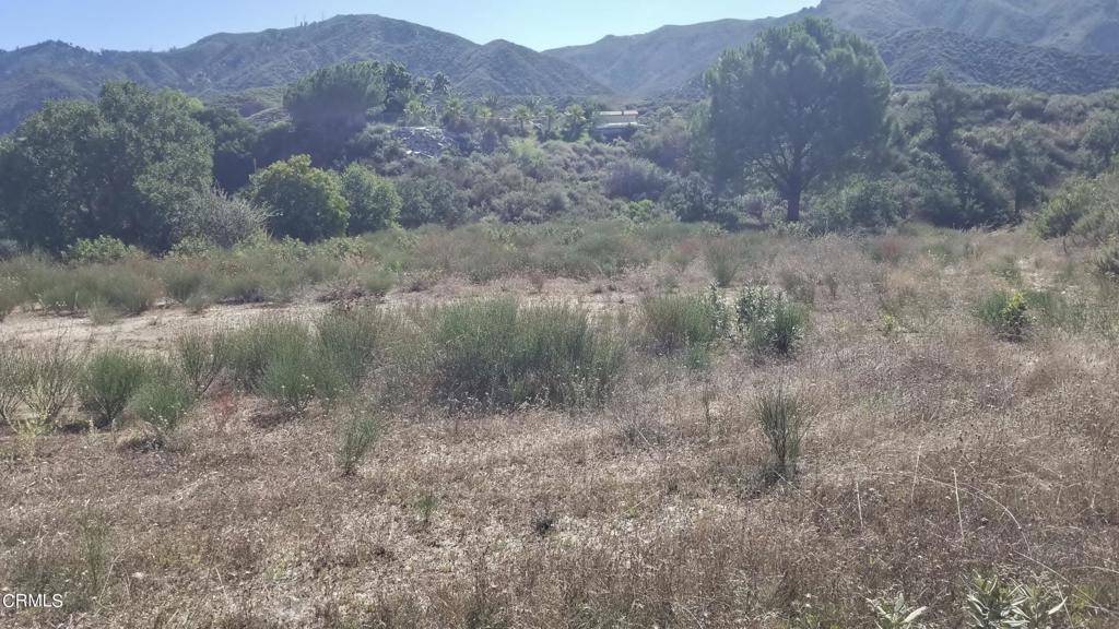 Newhall, CA 91321,1 Placerita Canyon RD