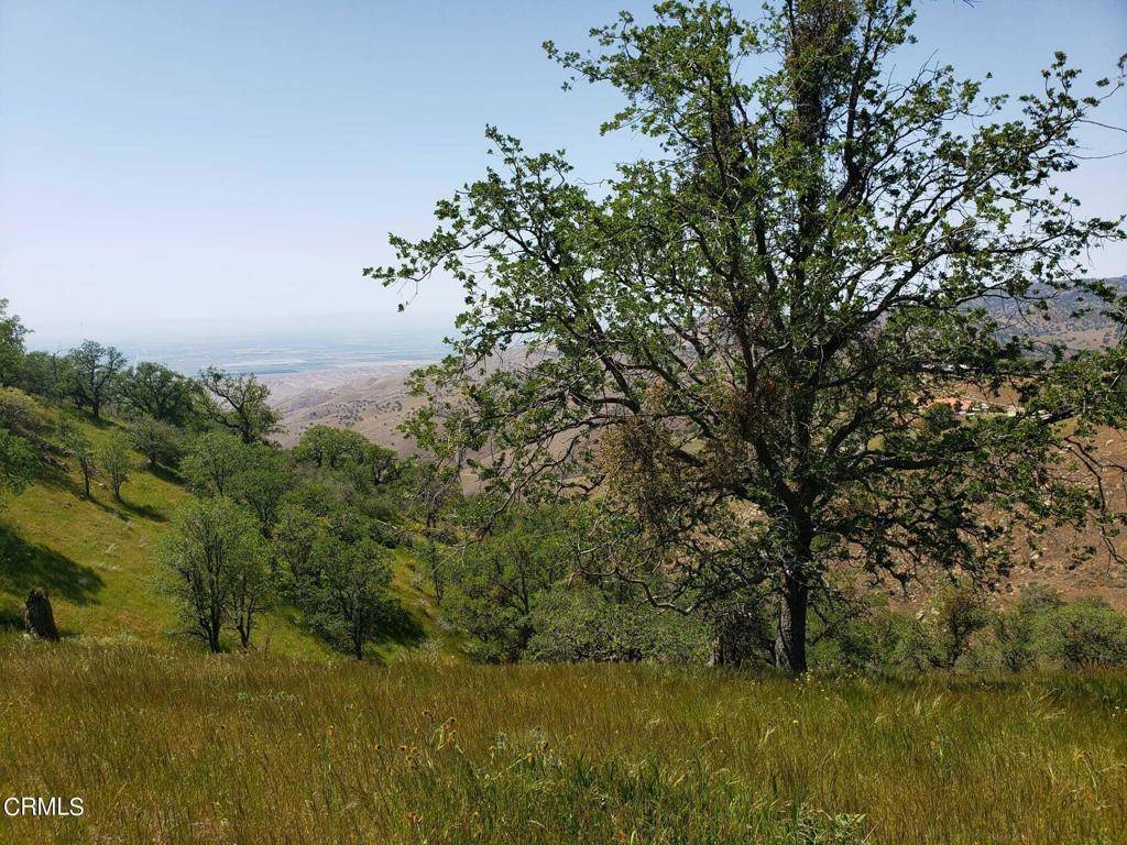 Stallion Springs, CA 93561,0 Roan CT