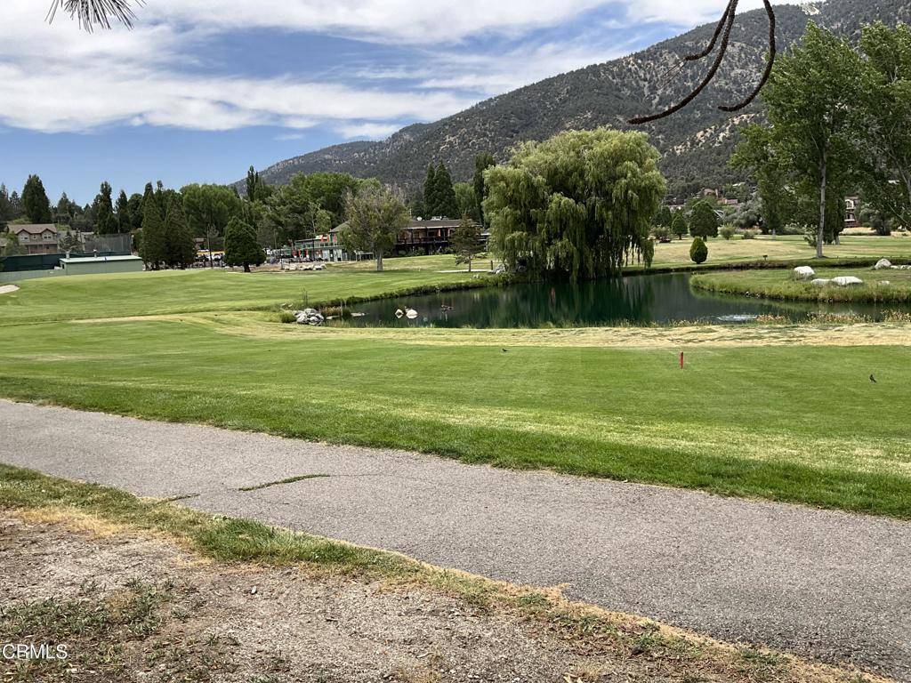 Pine Mountain Club, CA 93222,15405 Nesthorn WAY