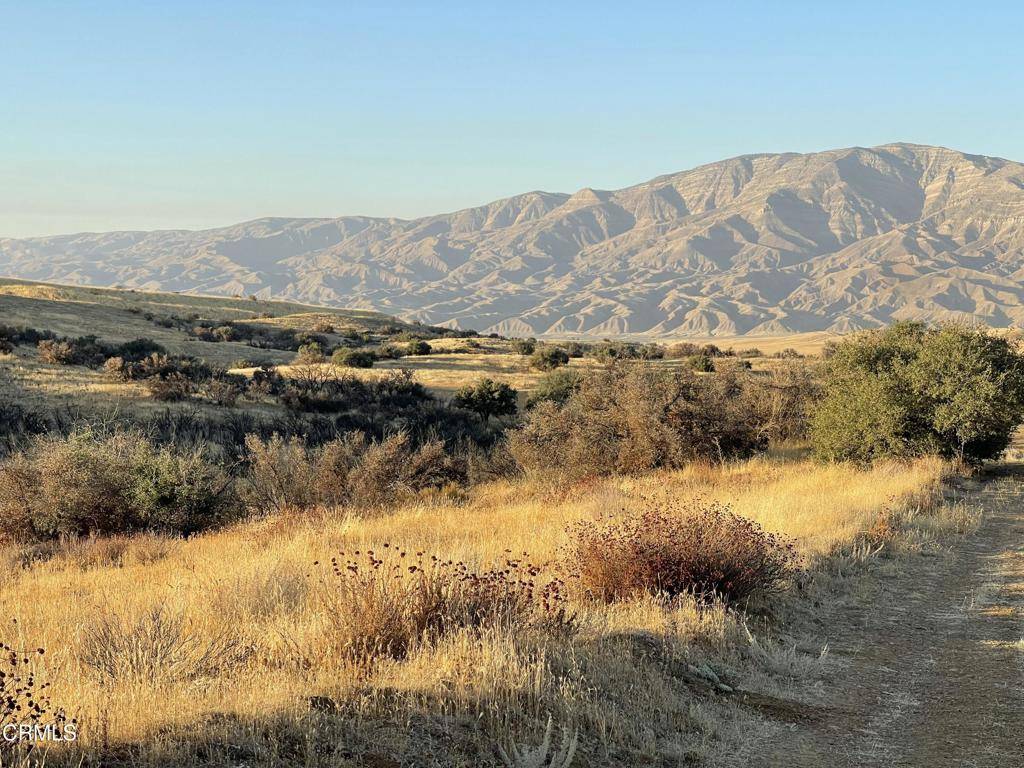 Cuyama, CA 93254,7451 Foothill RD