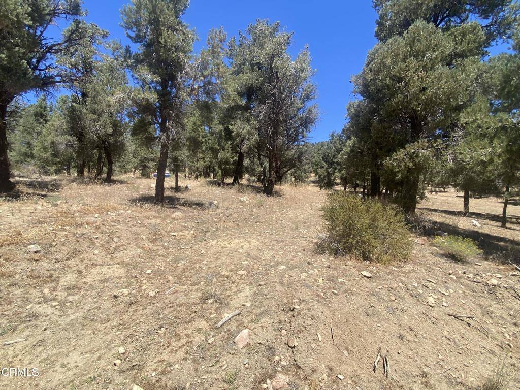 Big Bear, CA 92314,46838 Lakeview RD