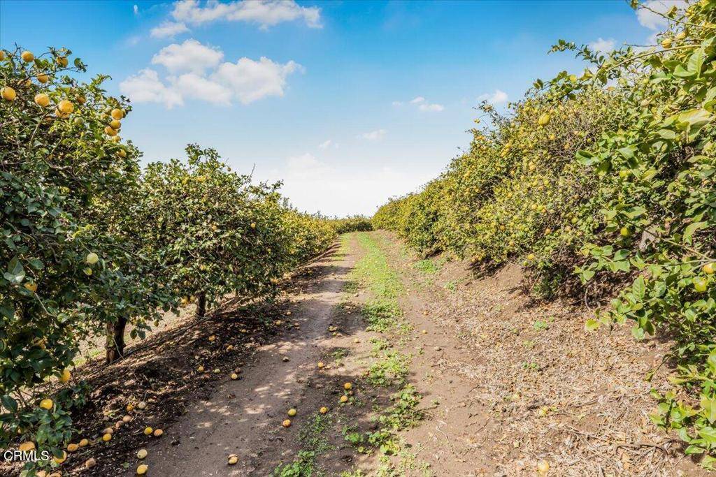 Somis, CA 93066,0 Sand Canyon RD