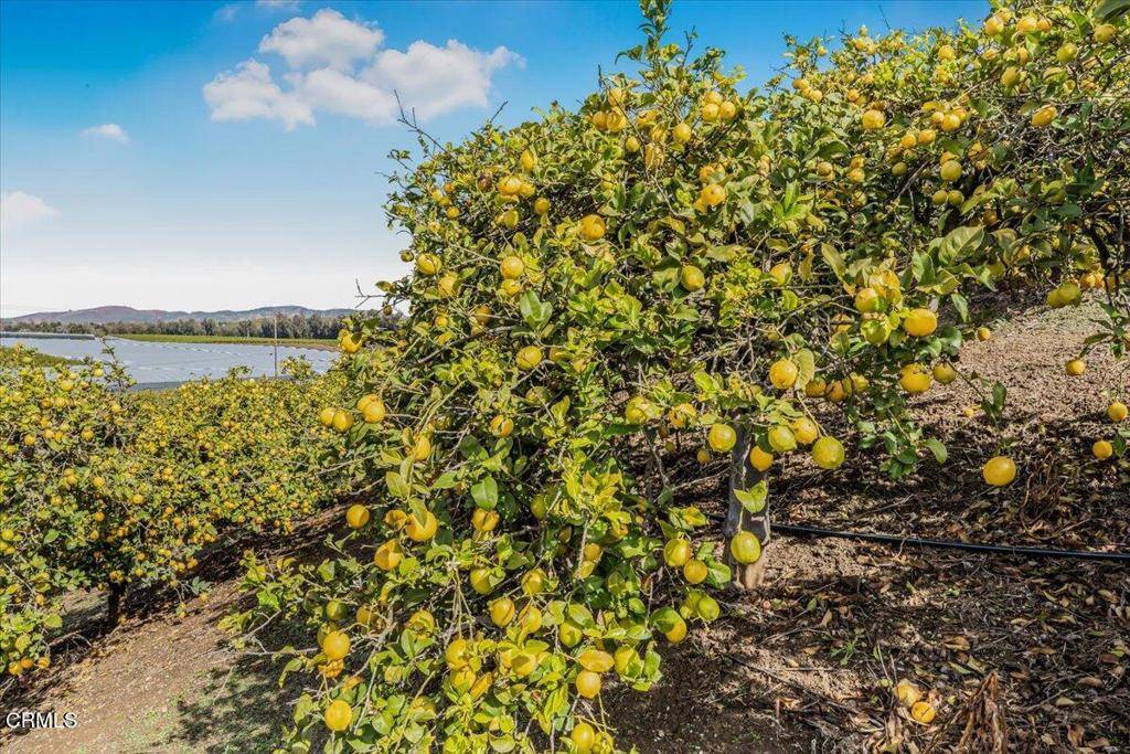 Somis, CA 93066,0 Sand Canyon RD