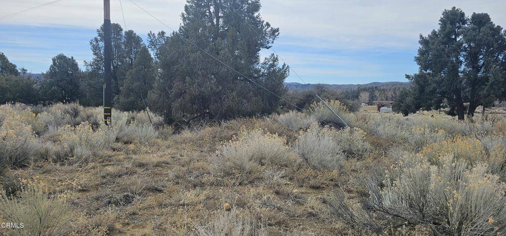 Frazier Park, CA 93225,0 Boy Scout Camp RD