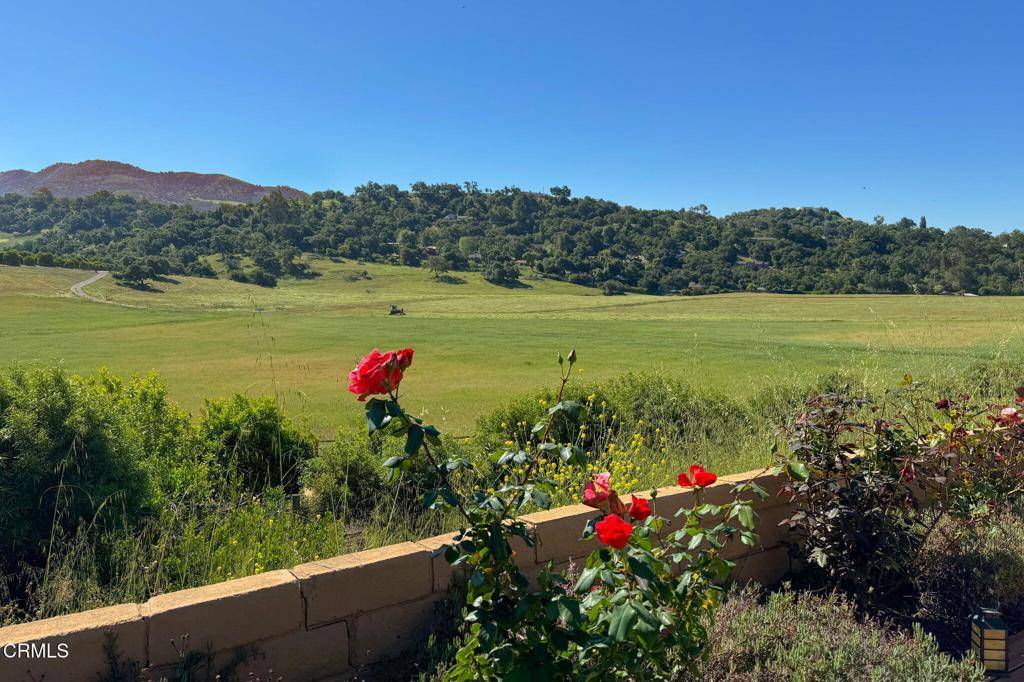 Ojai, CA 93023,1920 Tiara DR
