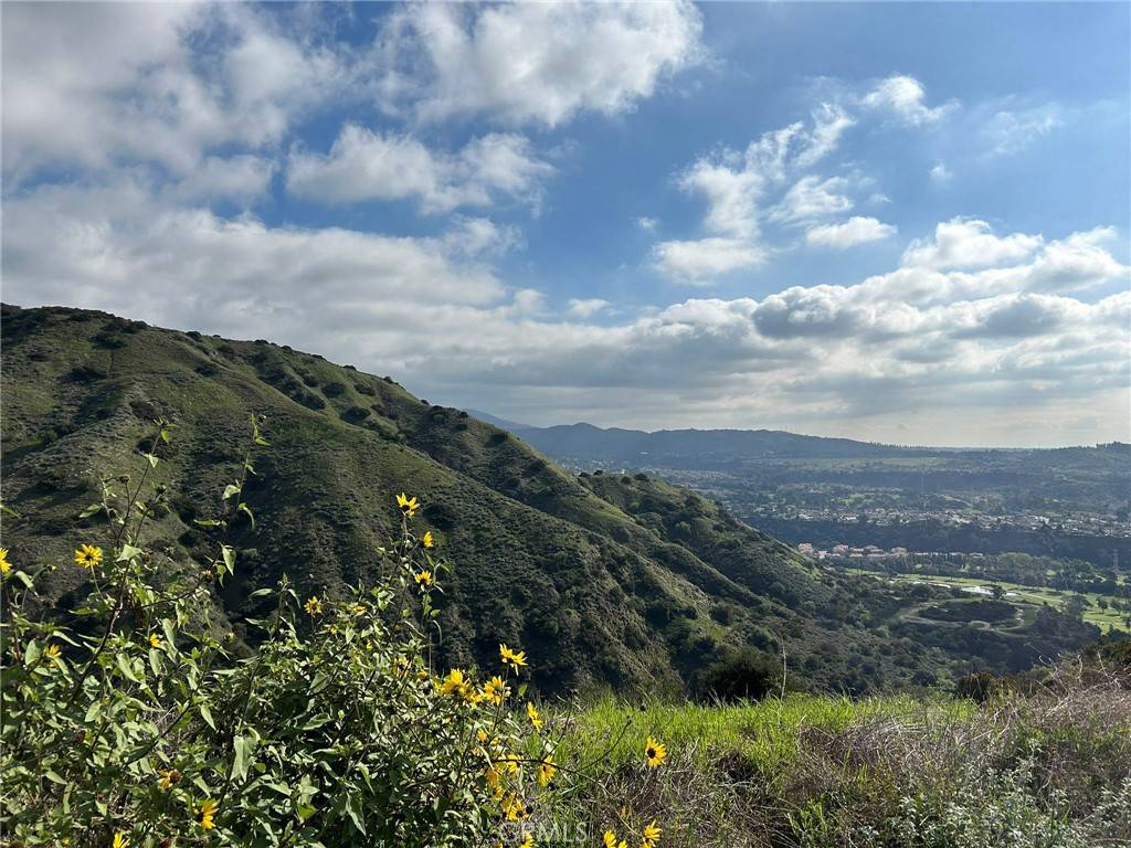 San Dimas, CA 91773,0 8678-030-029