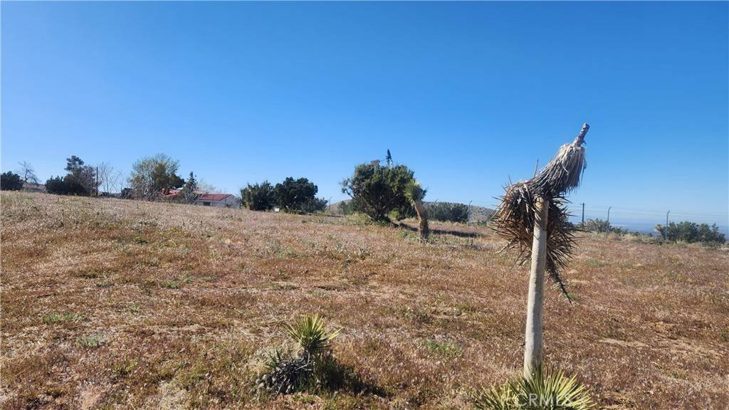 Juniper Hills, CA 93553,0 Longview RD