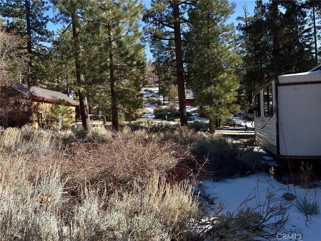 Fawnskin, CA 92333,1 Canyon RD