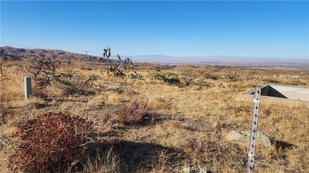 Littlerock, CA 93543,0 Cima Mesa RD