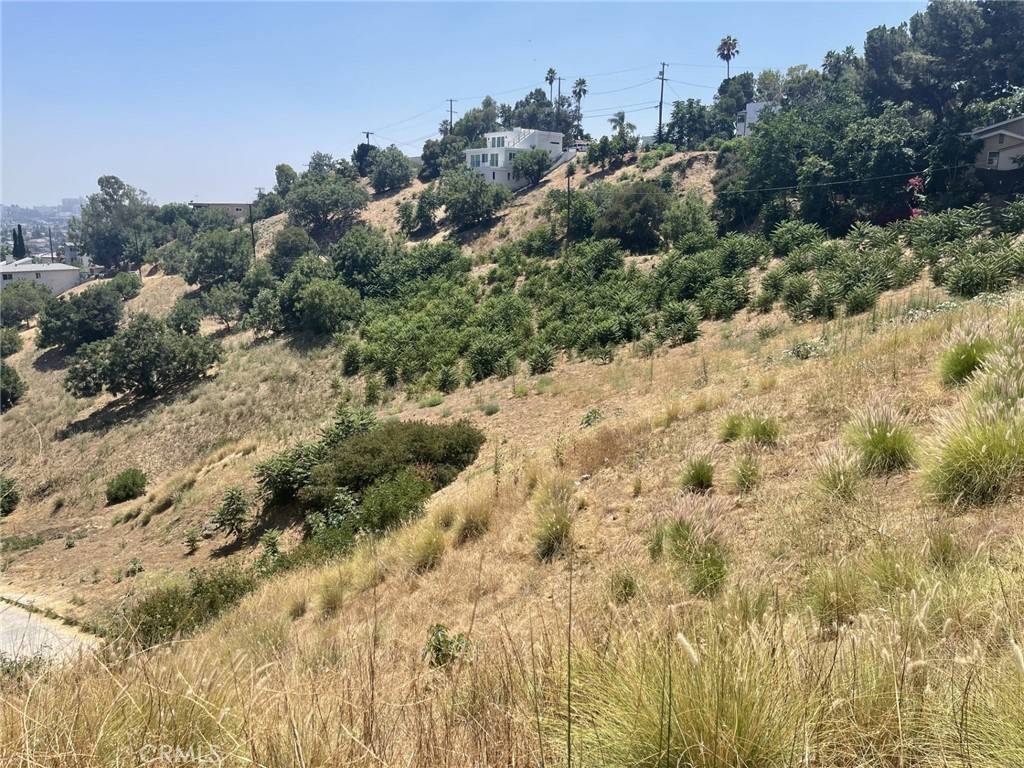 Los Angeles, CA 90065,0 N Montalvo ST