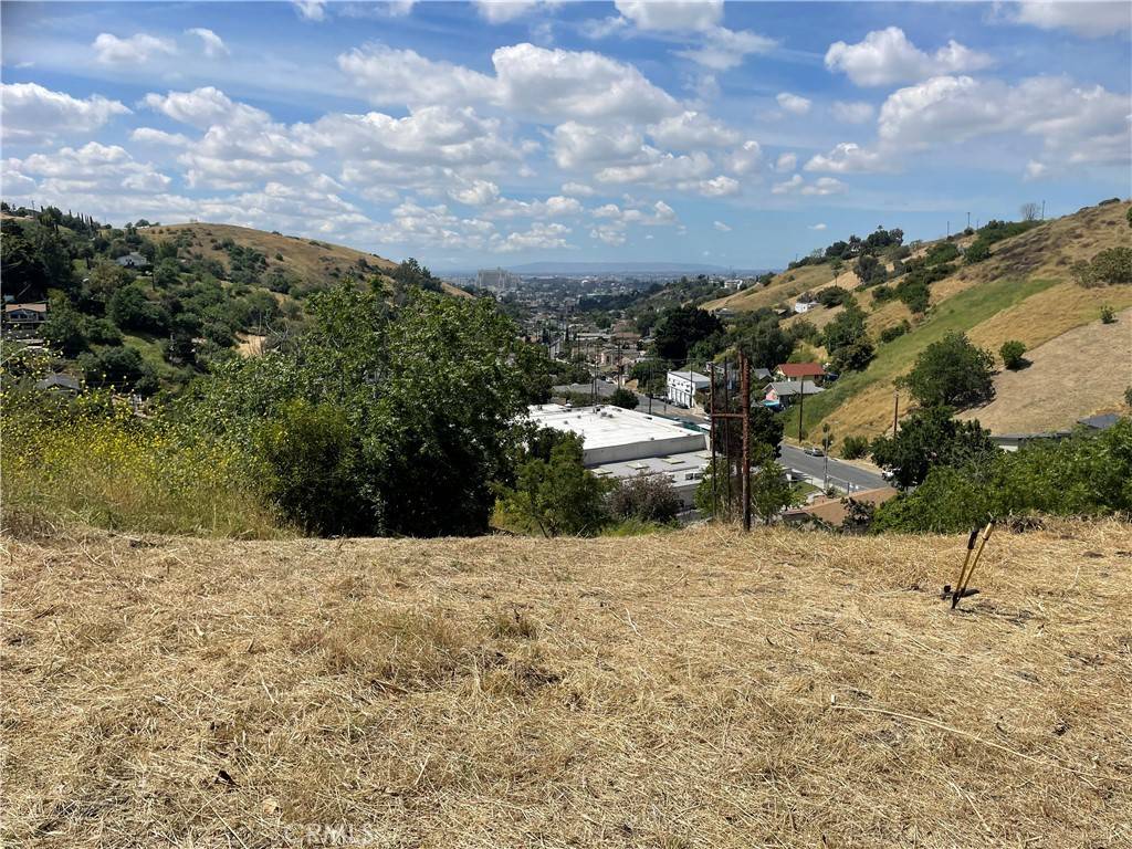 Montecito Heights, CA 90031,3756 Roberta ST