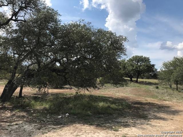 Pipe Creek, TX 78063,PARCEL 5 Rio Lantana