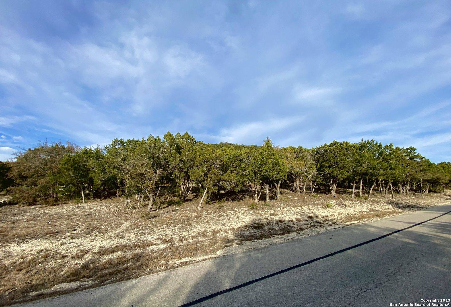 Mico, TX 78056,LOT 149 PR 1738