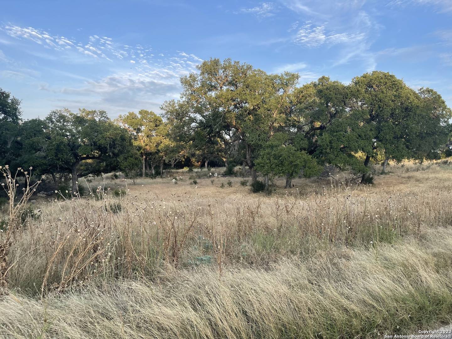 Spring Branch, TX 78070,2841 Campestres