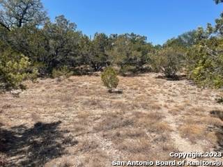 Spring Branch, TX 78070,LOT 36 CLIFF DR