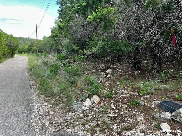 Concan, TX 78838,18 Ceder Ridge Ln