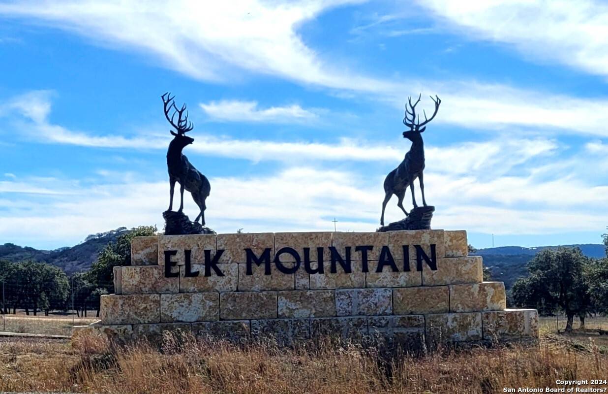 Pipe Creek, TX 78063,TBD SW Bison Court